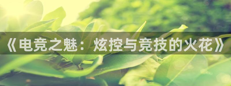 蜂鸟电竞怎么看比赛：《电竞之魅：炫控与竞技的火花》