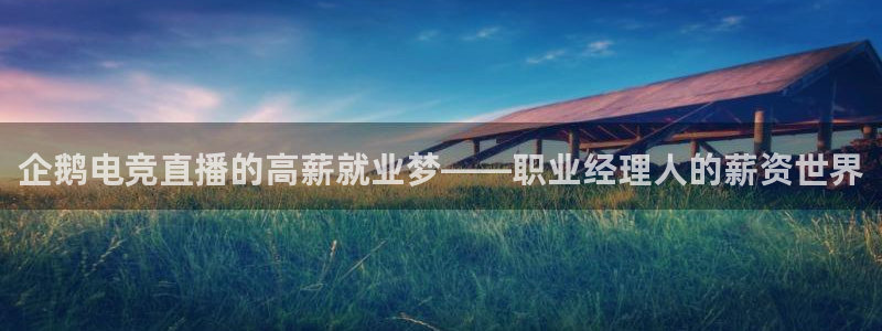 蜂鸟电竞酒店：企鹅电竞直播的高薪就业梦——职业经理人的薪资世界