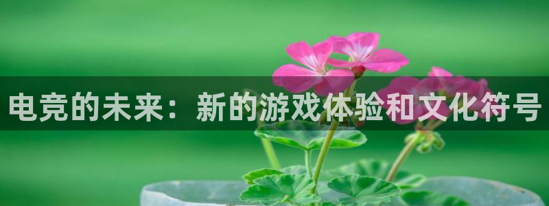 蜂鸟电竞电脑版：电竞的未来：新的游戏体验和文化符号