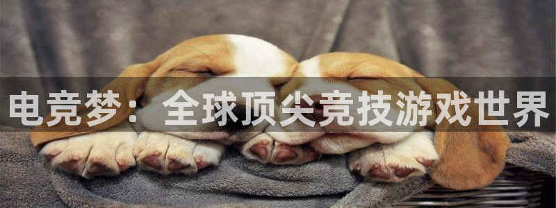蜂鸟电竞在线：电竞梦：全球顶尖竞技游戏世界