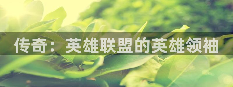 蜂鸟电竞下载：传奇：英雄联盟的英雄领袖