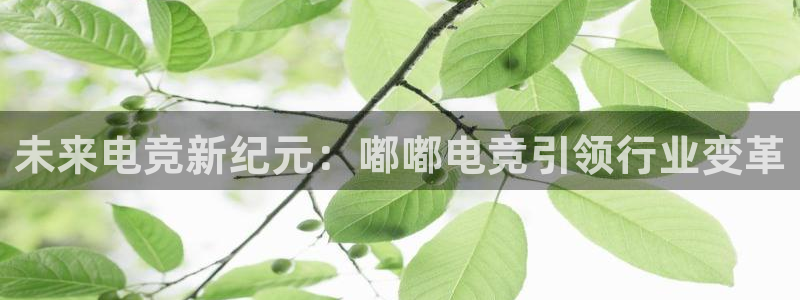 蜂鸟电竞在线：未来电竞新纪元：嘟嘟电竞引领行业变革