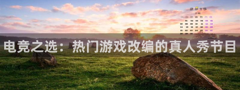 蜂鸟电竞多少钱一小时：电竞之选：热门游戏改编的真人秀节目