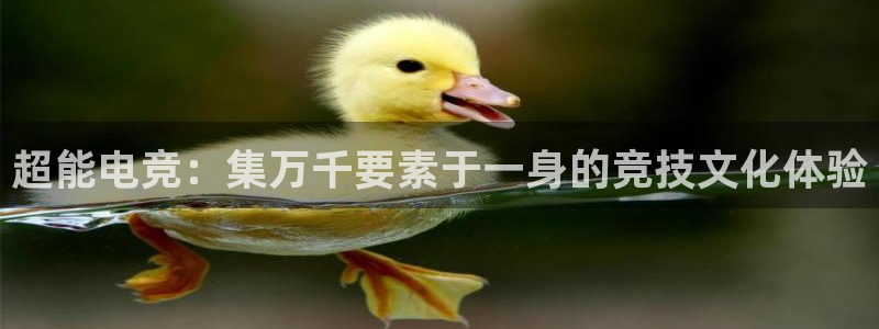 蜂鸟电竞：超能电竞：集万千要素于一身的竞技文化体验