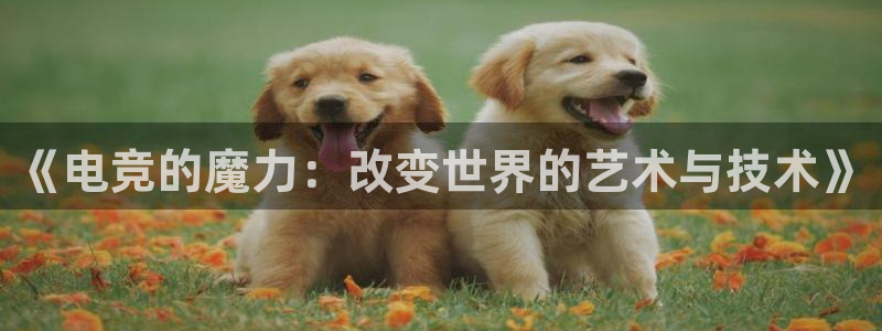 蜂鸟电竞：《电竞的魔力：改变世界的艺术与技术》