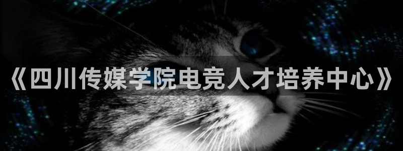 蜂鸟电竞下载：《四川传媒学院电竞人才培养中心》