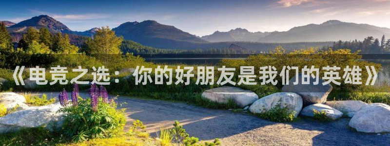 蜂鸟电竞全国多少门店啊：《电竞之选：你的好朋友是我们的英雄》