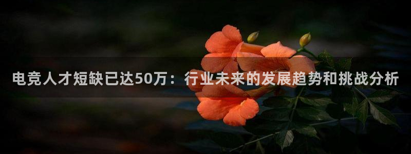 蜂鸟电竞怎么看直播：电竞人才短缺已达50万：行业未来的发展趋势和挑战分析