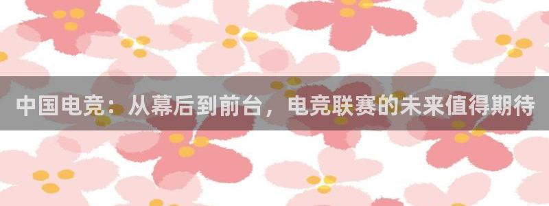 蜂鸟电竞全国多少门店啊：中国电竞：从幕后到前台，电竞联赛的未来值得期待