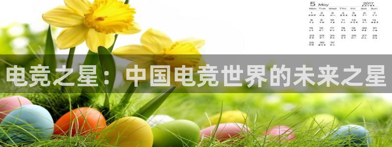 蜂鸟电竞全国多少门店啊：电竞之星：中国电竞世界的未来之星
