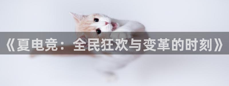 蜂鸟电竞电脑版：《夏电竞：全民狂欢与变革的时刻》
