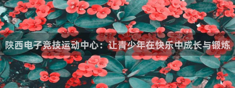 蜂鸟电竞电脑版：陕西电子竞技运动中心：让青少年在快乐中成长与锻炼