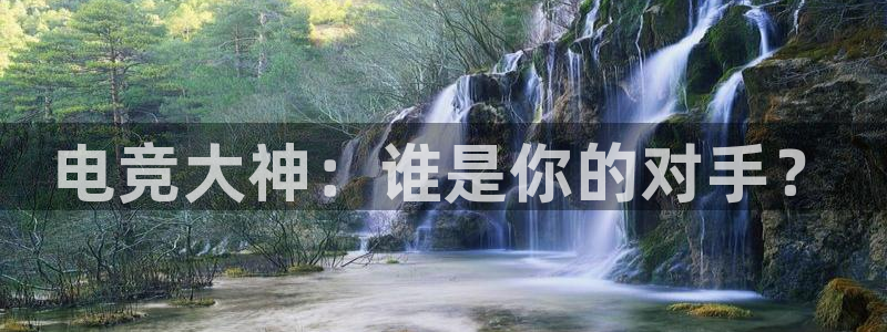 蜂鸟电竞酒店：电竞大神：谁是你的对手？
