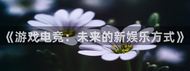 蜂鸟电竞app官网：《游戏电竞：未来的新娱乐方式》