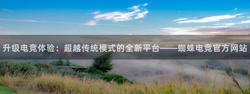 蜂鸟电竞app官方下载：升级电竞体验：超越传统模式的全新平台——蜘蛛电竞官方网站