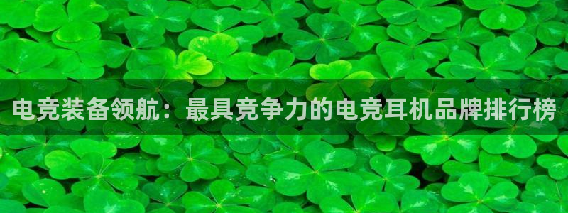 蜂鸟电竞怎么看比赛：电竞装备领航：最具竞争力的电竞耳机品牌排行榜